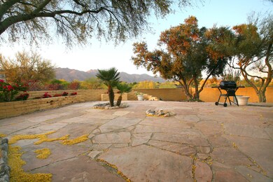 Backyard Patio view