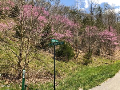 #707 Ruby Way, Sunset Bay, Norris Lake