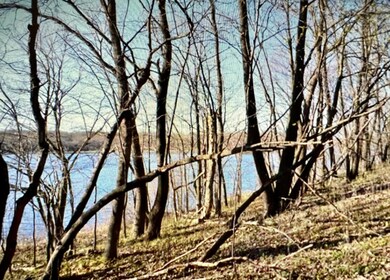 Lot 3 Country Ln SW, Holmes City Township, MN 56327 - photo 3