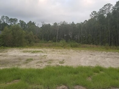 0 Robena Rd unit 1012864, Jacksonville, FL 32218 - photo 4