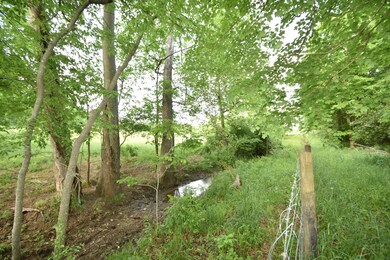 0 A T Dean Rd unit Tract 1, Harrodsburg, KY 40330 - photo 3