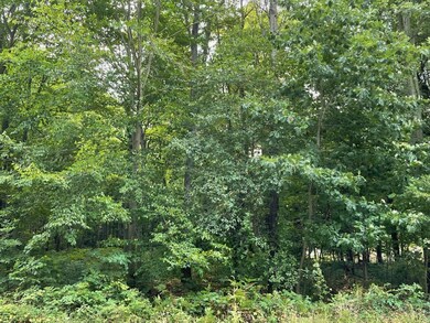 V/L Remington Ln unit Lot 2, Park Township, MI 49424 - photo 4