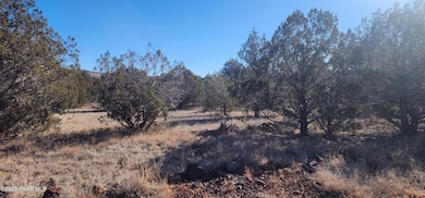 2113 W Skyline Dr, Ash Fork, AZ 86320 - photo 3