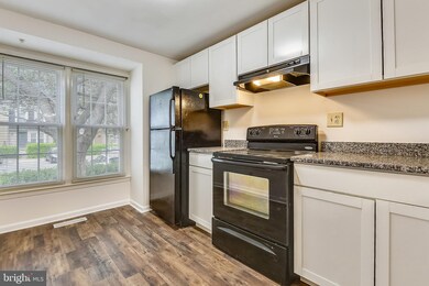 20515 Sterncroft Ct, Montgomery Village, MD 20886 - photo 4