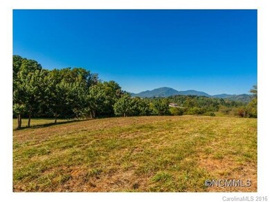 000 Newfound Rd, Leicester, NC 28748 - photo 3
