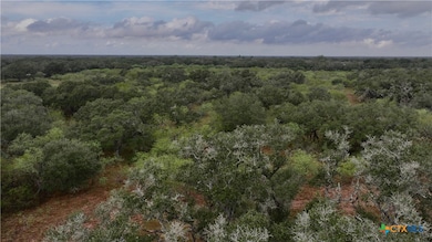 000 Coletoville Rd, Victoria, TX 77905 - photo 2