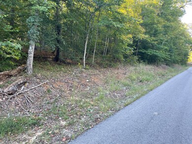 Tract 6 Cumberland Ridge Dr, Somerset, KY 42501 - photo 2