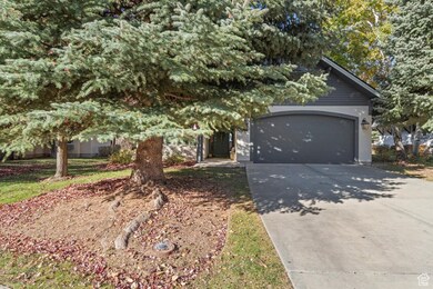 View of property hidden behind natural elements with driveway and an attached garage