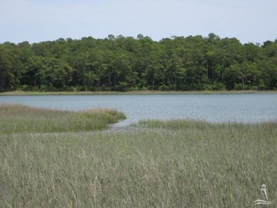 0 Chadwick Landing Dr SW, Shallotte, NC 28470 - photo 6