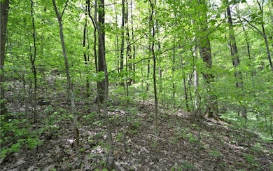Additional View