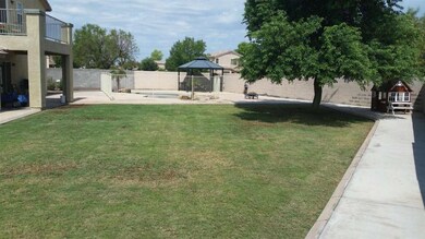 Backyard (4)