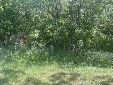 9127 Indiana 56, Vevay, IN 47043 - photo 3