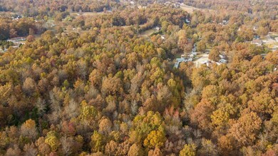 0South of County Road 468, Poplar Bluff, MO 63901 - photo 3