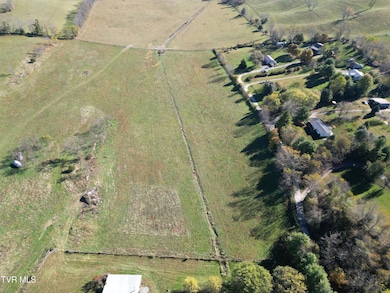 Tbd Springfield Dr, Meadowview, VA 24361 - photo 3