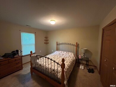 3881 W Palmyra Ct unit 18, Peoria, IL 61604 - photo 6