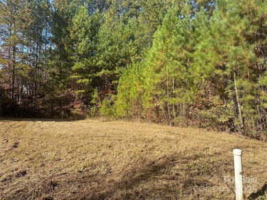 206 Streamwood Rd unit 32, Troutman, NC 28166 - photo 2