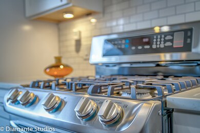 1027 S Saylor Ave, Elmhurst, IL 60126 - photo 7