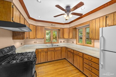 272 Melody Ln, Carpentersville, IL 60110 - photo 7