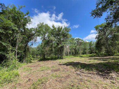 Tract 4 Farm To Market 362, Waller, TX 77484 - photo 6