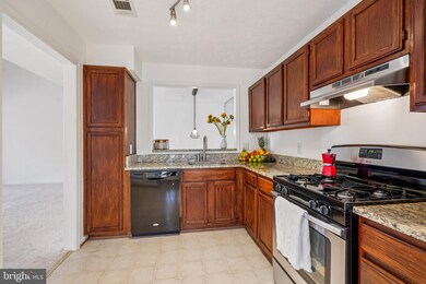 2203 Hunters Run Dr, Reston, VA 20191 - photo 6