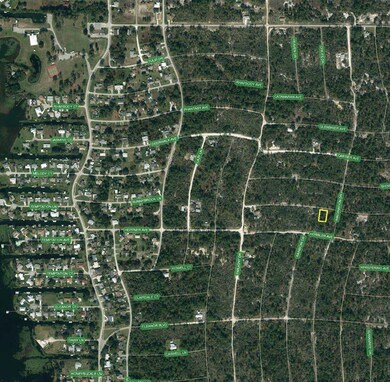 339 Stardust Ave, Lake Placid, FL 33852 - photo 6