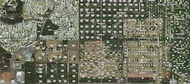 2988 N Anthony Ave, Hernando, FL 34442 - photo 3