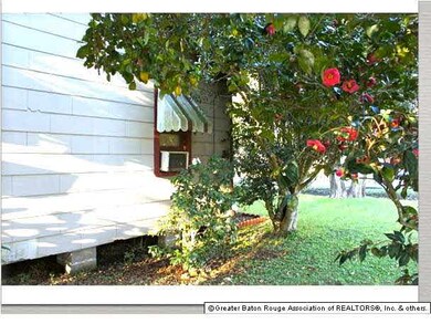 Beautiful, evergreen flowering shrubs provide some