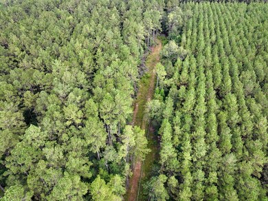 0 Jones Rd, Kountze, TX 77625 - photo 7