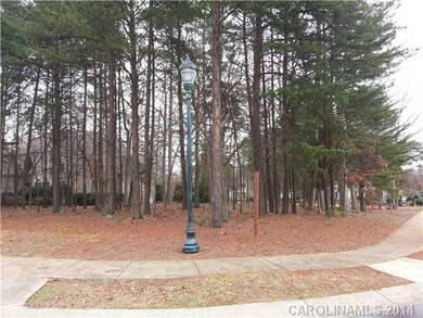 Lot 670 Town Harbour Rd unit 670, Cornelius, NC 28031 - photo 4