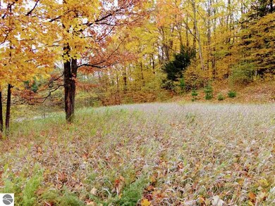 00 Walling Rd unit C, Helena Township, MI 49612 - photo 6