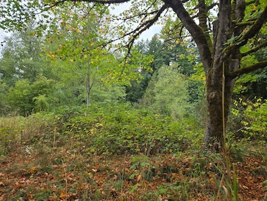 12628 208th Place NE, Union Hill-Novelty Hill, WA 98077 - photo 5