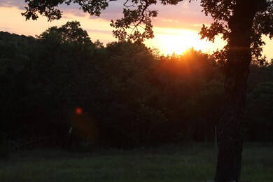 Evening Sun