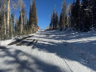 0 Falcon Ct unit CBME unit c lots 68, Brian Head, UT 84719 - photo 5