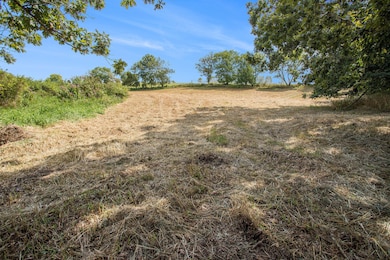 0 Marl Lake Rd, Athens Township, MI 49011 - photo 7