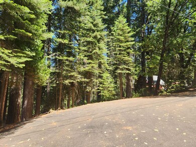 6296 Merry Way, Clipper Mills, CA 95930 - photo 4