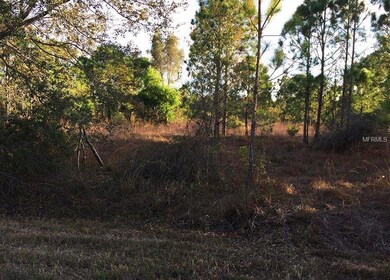 27133 Aloha Dr, Punta Gorda, FL 33955 - photo 2