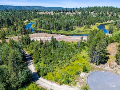 Drone / aerial view of a large body of water and a forest