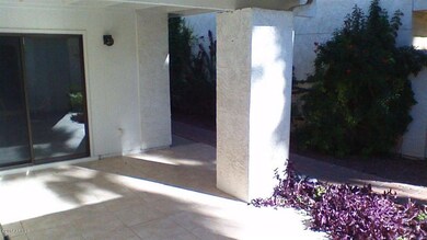 Back Patio