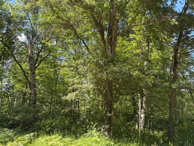 tbd Cedar St, Breezy Point, MN 56472 - photo 3