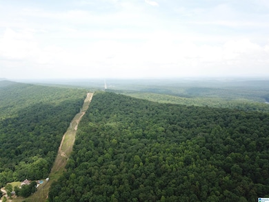 9063 Bush Ave unit 1, Leeds, AL 35094 - photo 7