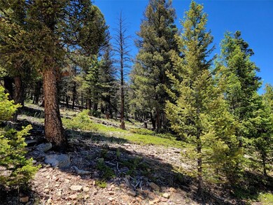 View of nature
