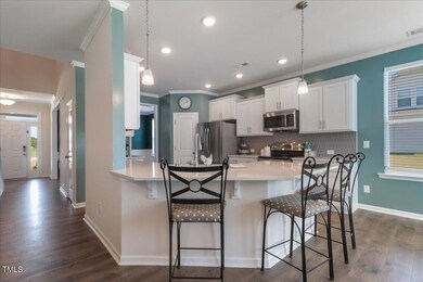 214 Thumper Way, Clayton, NC 27520 - photo 5