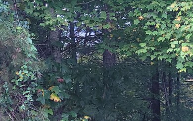 120 Old Orchard Square, Ellijay, GA 30540 - photo 7