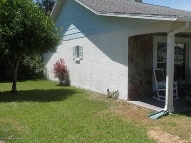 6201 Burning Tree Ln, Spring Hill, FL 34606 - photo 7