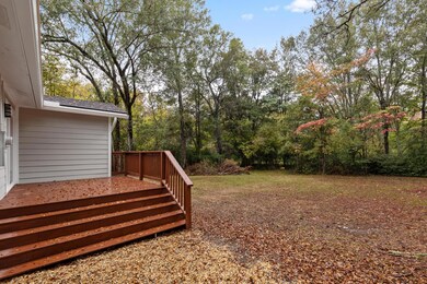Backyard/Deck