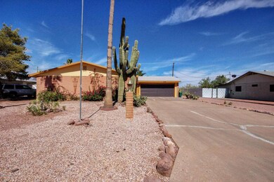 Cactus-02