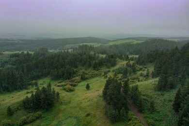 DJI_0835