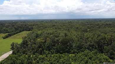 8382 Main St, Zachary, LA 70791 - photo 3