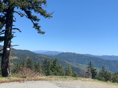 19265 Usfs Route 1 None, Korbel, CA 95550 - photo 5