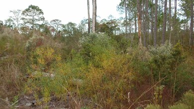 0 Peaceful Ln unit 313172, Crawfordville, FL 32327 - photo 3